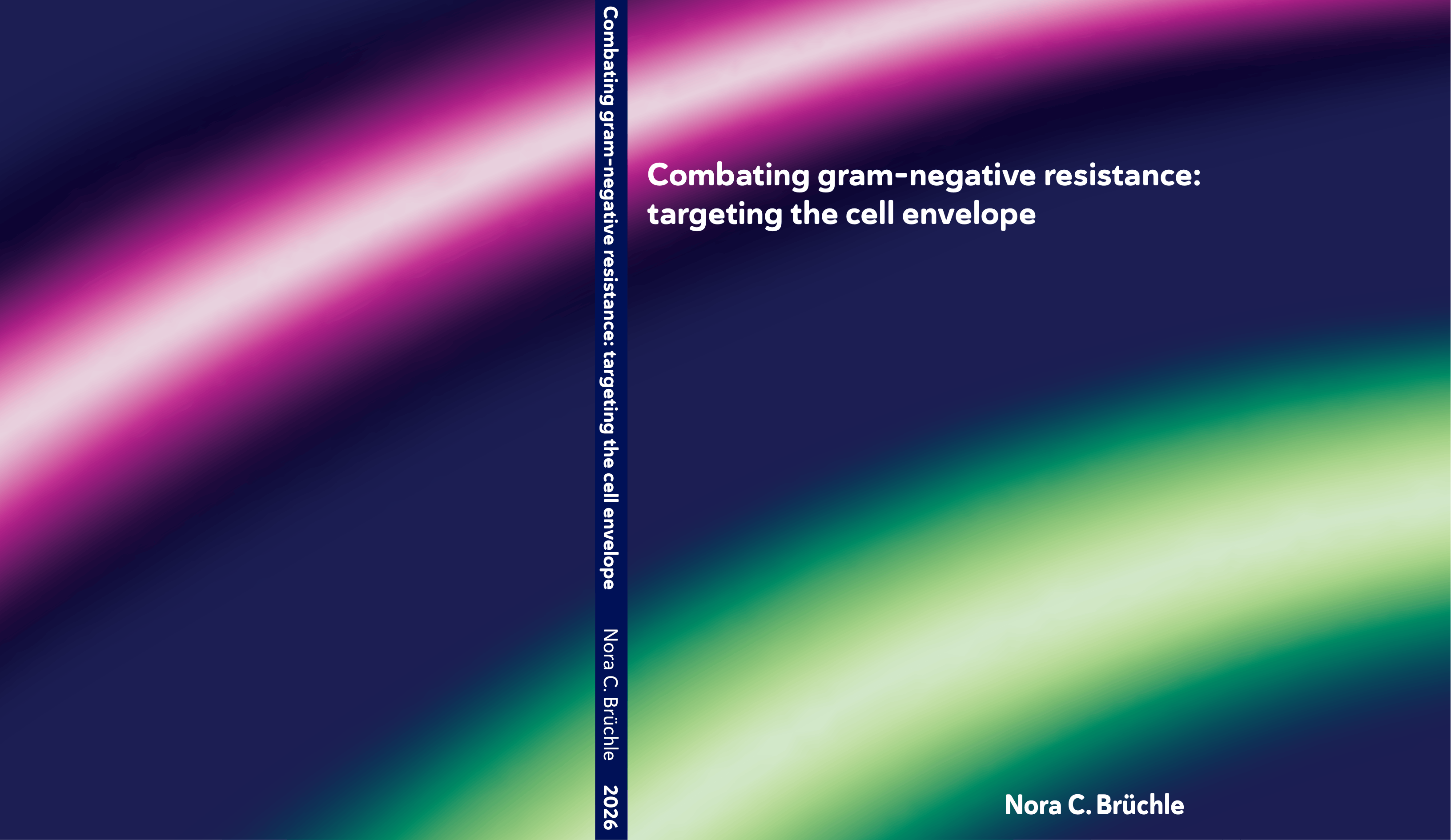 Combating gram-negative resistance: targeting the cell envelope
