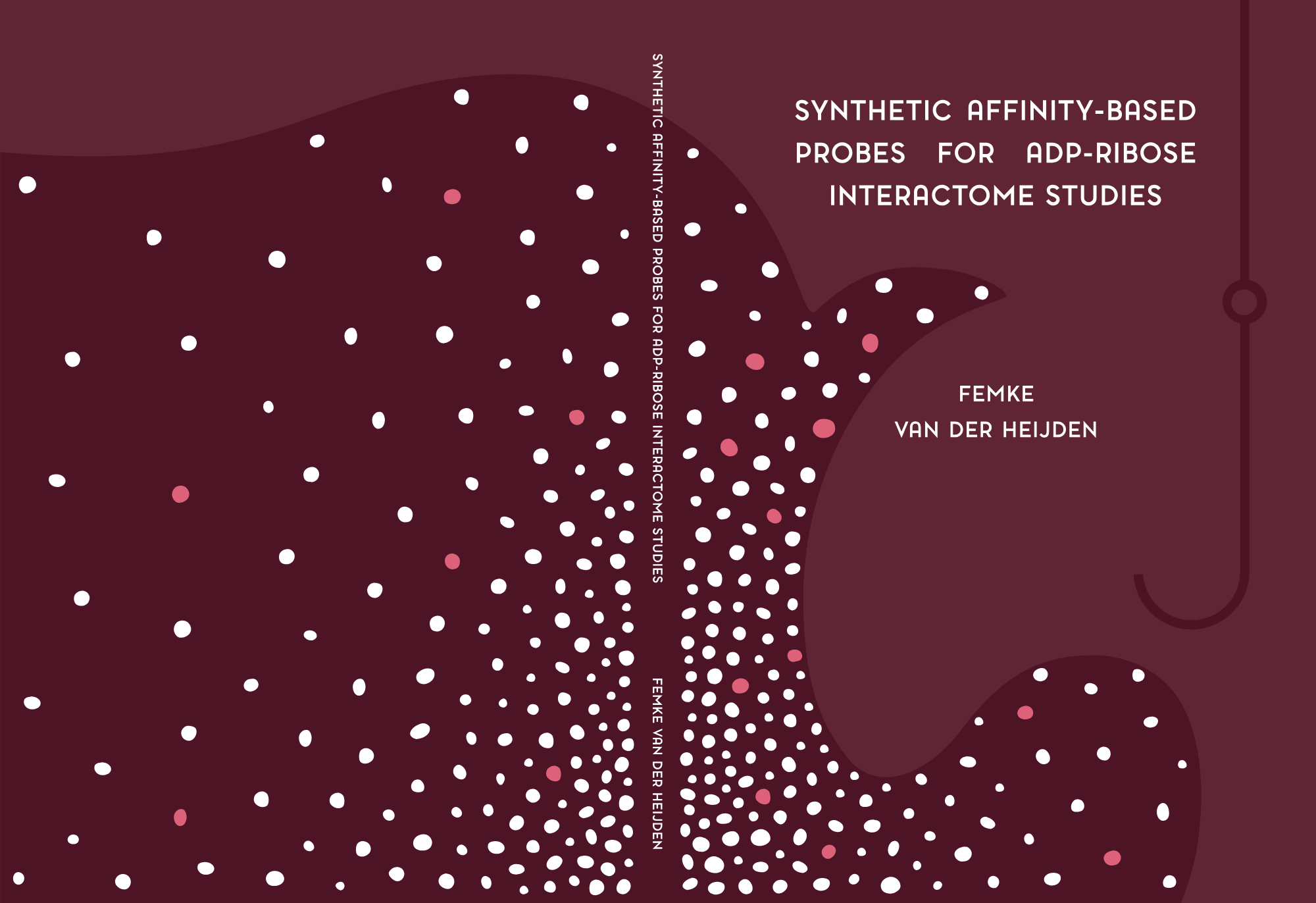 Synthetic Affinity-Based Probes for ADP-Ribose Interactome Studies
