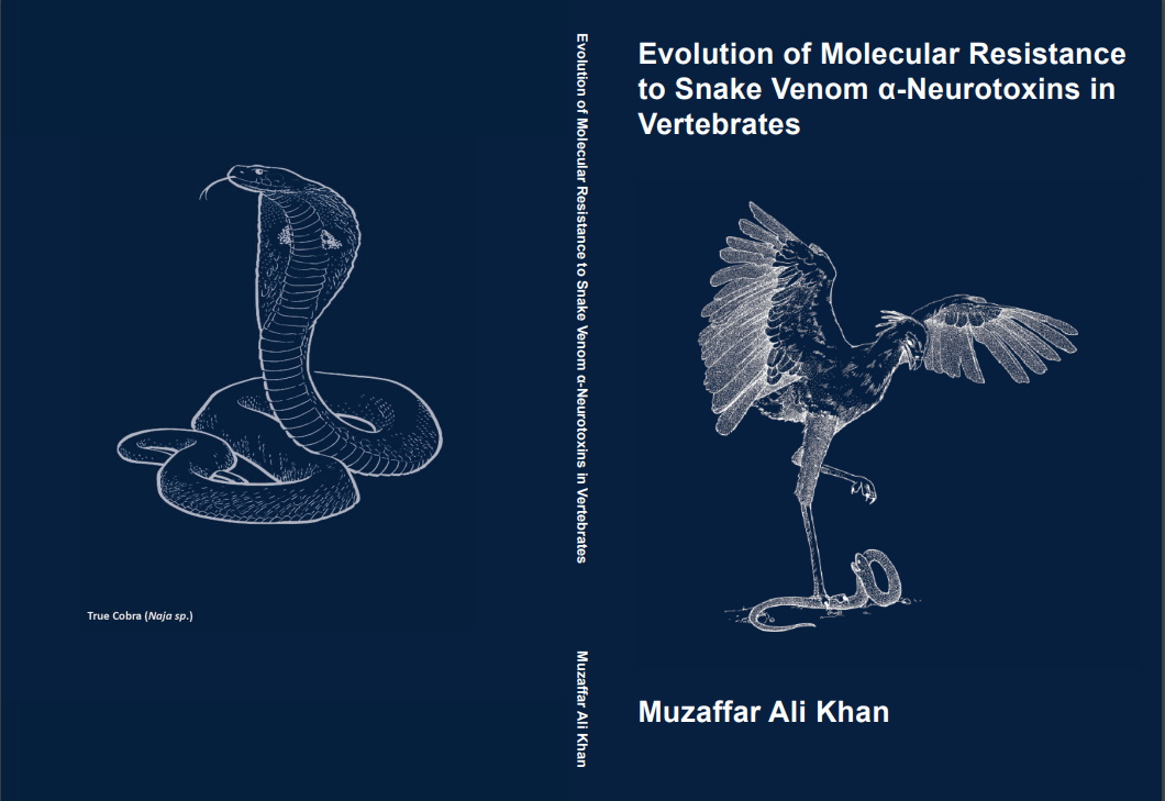 Evolution of Molecular Resistance to Snake Venom αNeurotoxins in