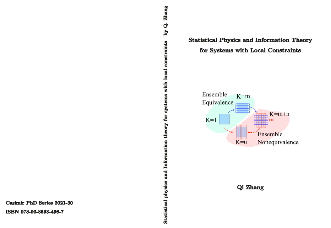Statistical physics and information theory for systems with local ...