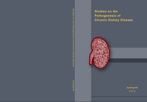 thesis of kidney disease