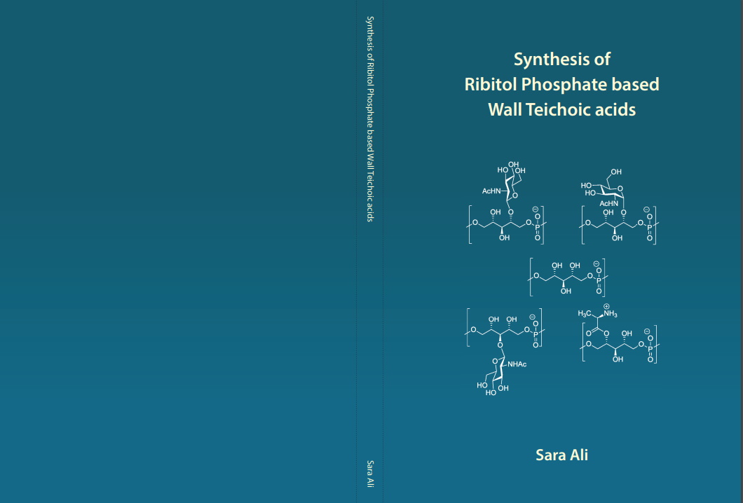 Synthesis of Ribitol Phosphate based Wall Teichoic acids - Leiden ...