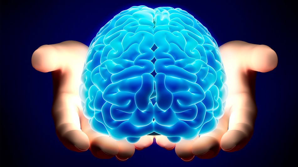 Longitudinal brain development (Brain Time study) - Leiden University