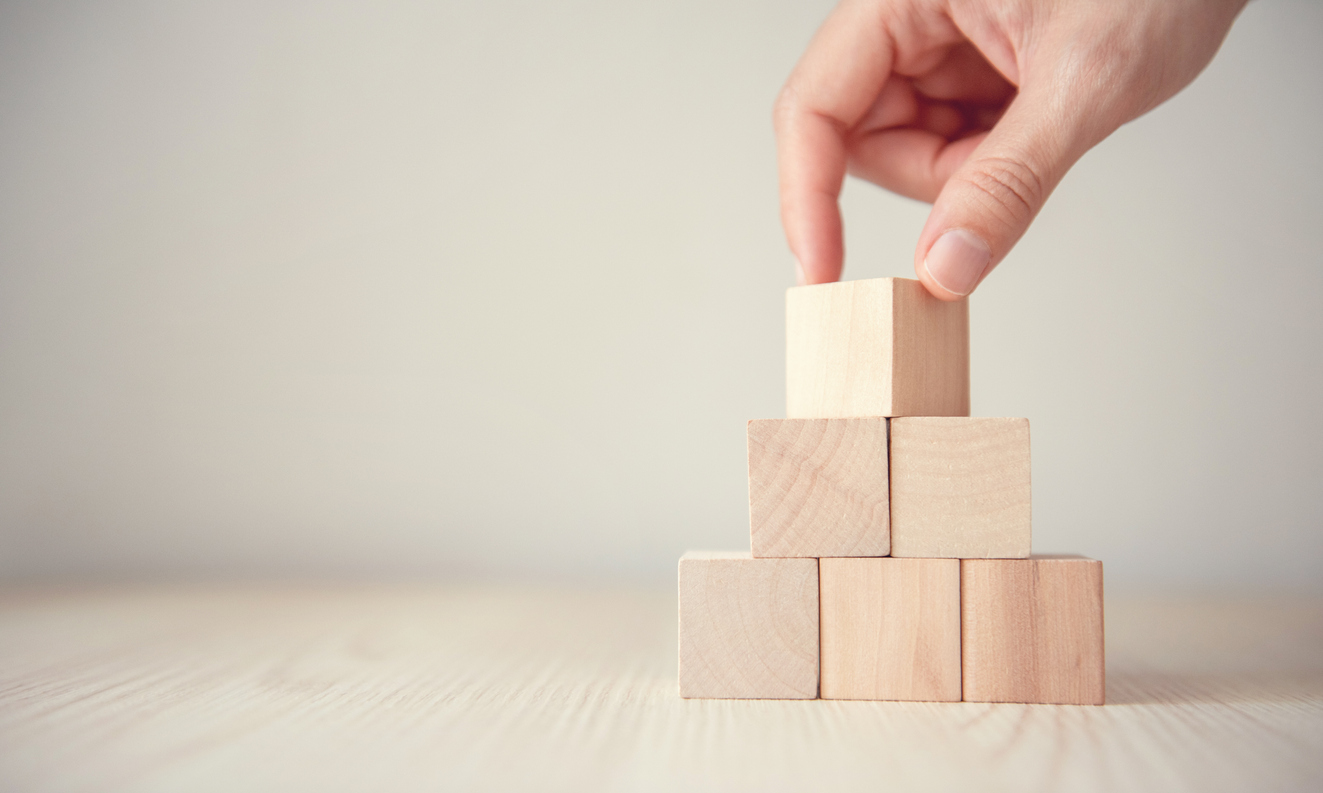 Building blocks of success - Leiden University