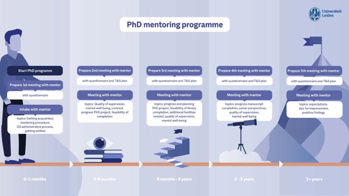 Pdf to mentoring programme Infographic
