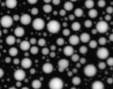 Phase Separated Droplets