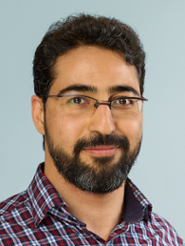 Reza Shaker Ardekani, Postdoc, Project 0100