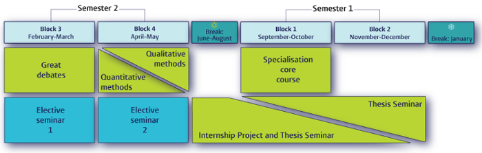 Infographic: MSc Programme Structure, Leiden specialisations