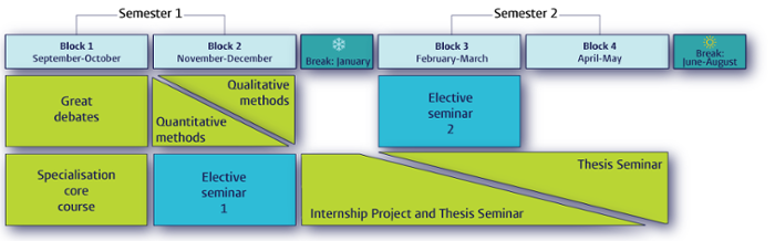 Infographic: MSc Programme Structure, Leiden specialisations