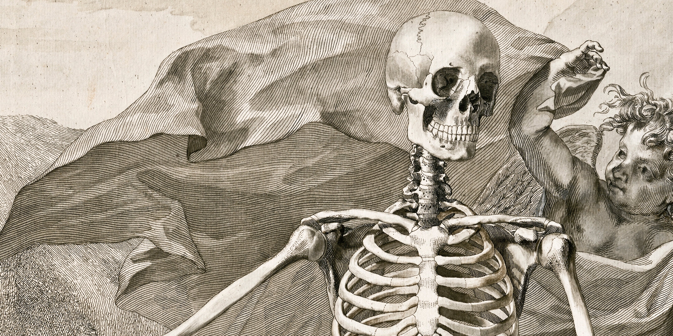 Страдающий скелет. Скелет человека анатомия Майерс. Скелет Якоба фарерра. Скелет 1900t.