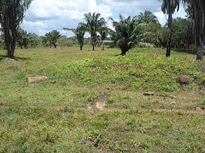 Figure 3: Overview of the El Gavilan site (El Ayote, Nicaragua)