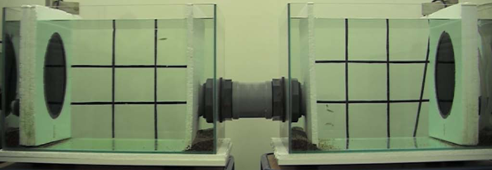 Experimental aquarium set-up in which a group of zebrafish can swim in two tanks connected by a swimming tube and in which the sound conditions can be manipulated independently through underwater speakers.