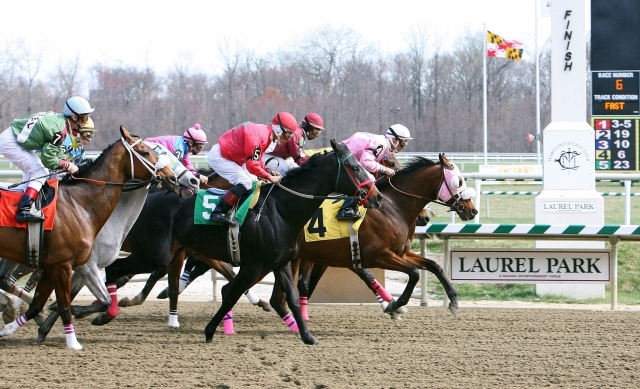 Laurel Park horserace