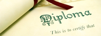 MSc Political Science: required previous education