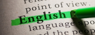 MSc Political Science: proficiency in English is required